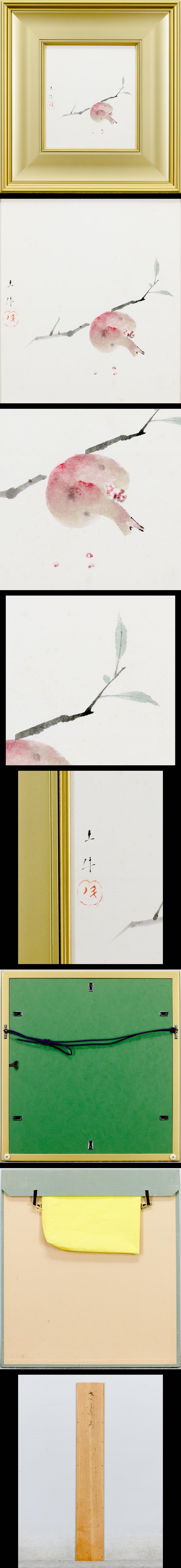 此商品圖像無法被轉載請進入原始網查看