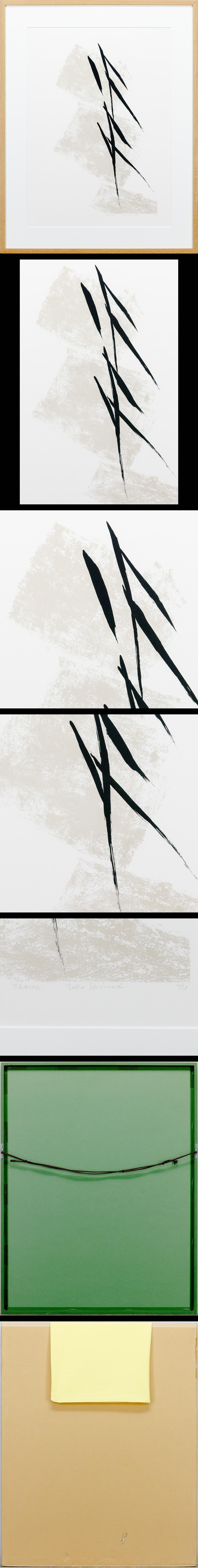 The
