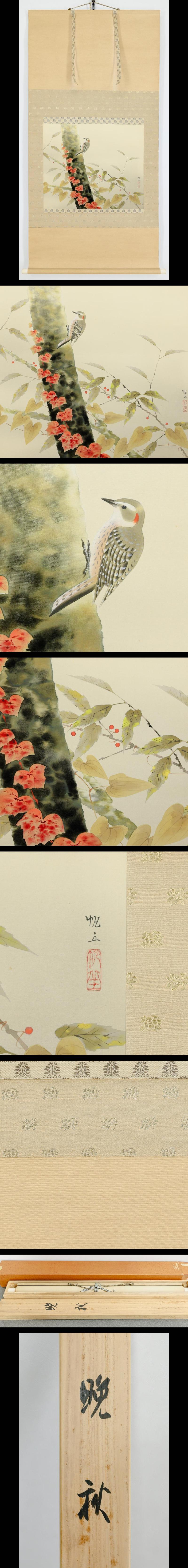 此商品圖像無法被轉載請進入原始網查看