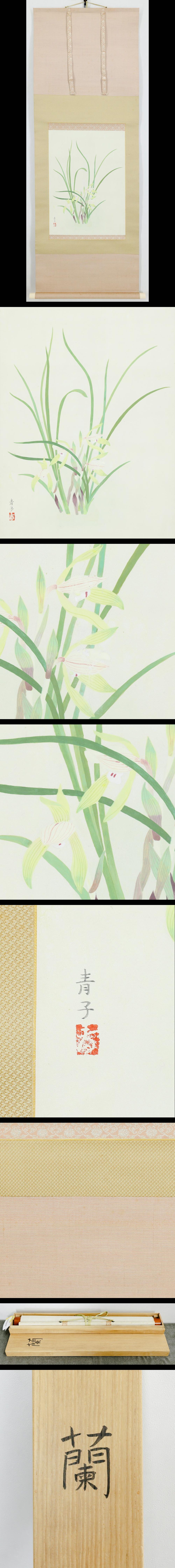 此商品圖像無法被轉載請進入原始網查看