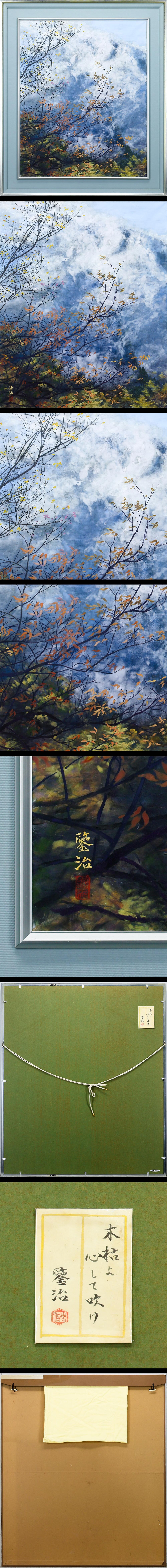 此商品圖像無法被轉載請進入原始網查看